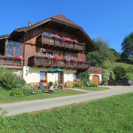 Ferienwohnung Brigitte Perner Nussdorf am Attersee Luaran gambar