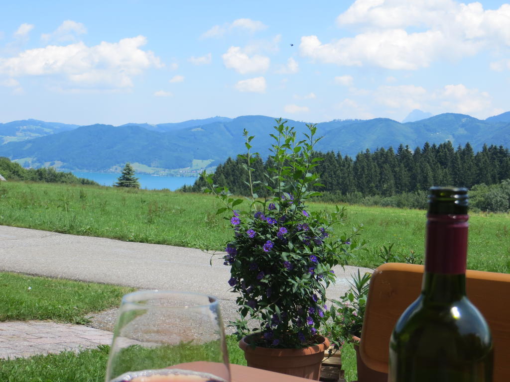 Ferienwohnung Brigitte Perner Nussdorf am Attersee Luaran gambar